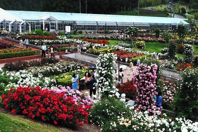 🌹 시마다시 장미 언덕 공원(시마다시바라노오카코엔) 이미지 2